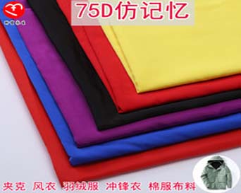 渭南75D 100% polyester Imitate memory fabric