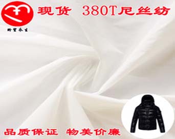 渭南stock lot white ultra-thin 380T 20d nylon taffeta fabric